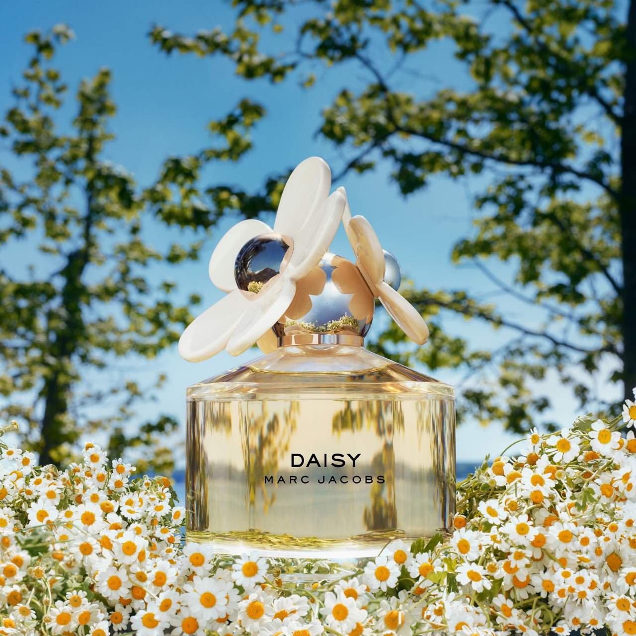 Floral Debenhams Marc Jacobs Perfume De Toilette Spray Daisy Eau