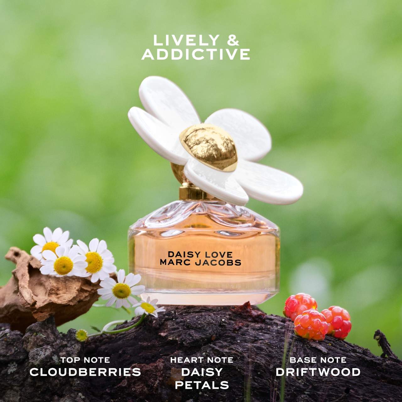 Parfum Marc Jacobs Honey Douglas Daisy Love Parfum Douglas Marc