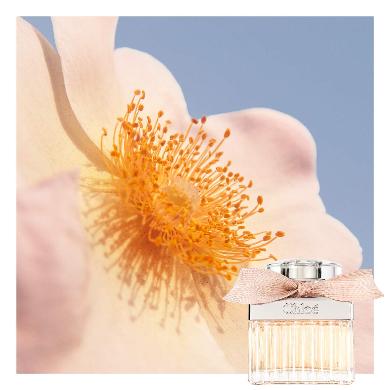 Fragrance ChloÃ© Rose Tangerine ChloÃ© Chloé Rose Tangerine Eau De