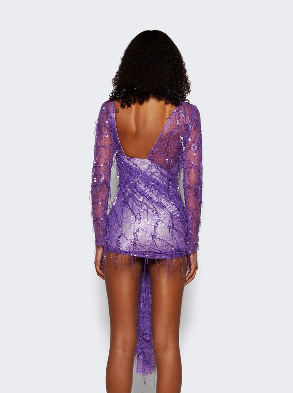 Encased Beaded IVY Lace Long Sleeve Mini Dress Grape | SHOP